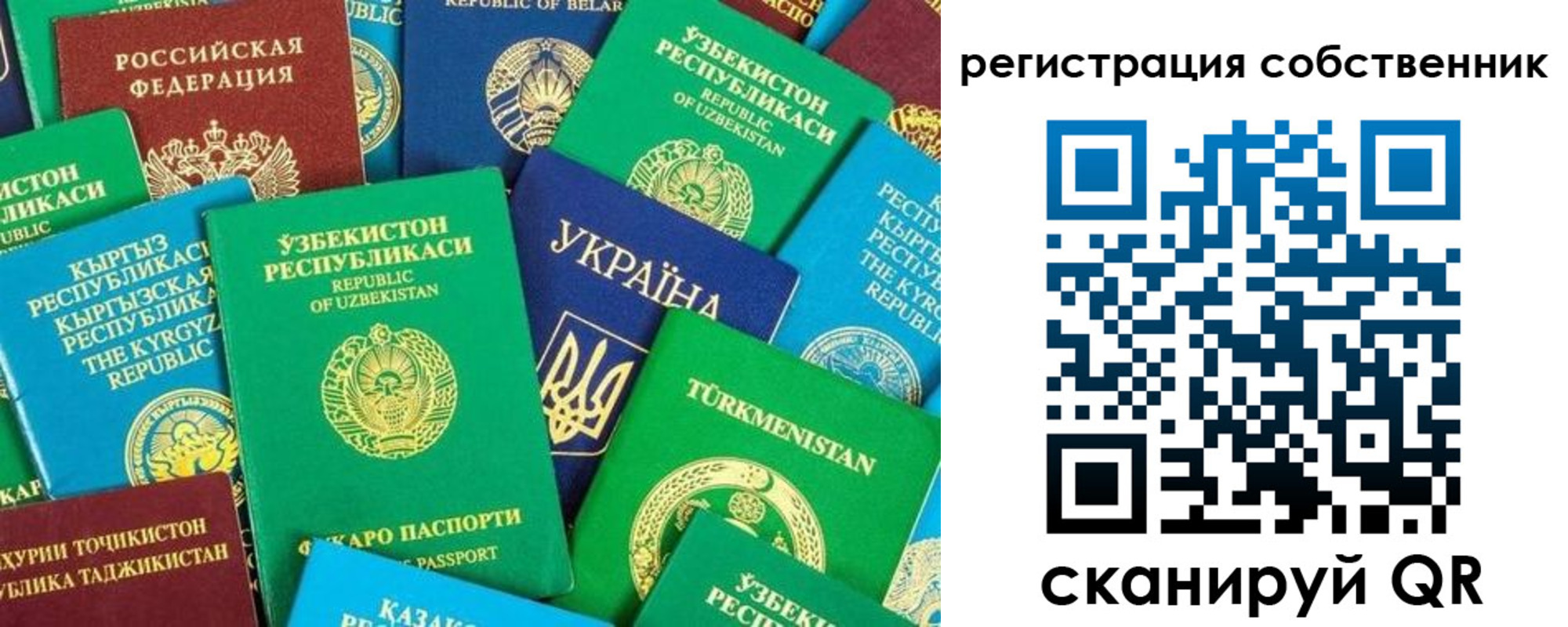прописка в Светлограде